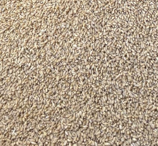 Wheat Bulk Bag 1 Tonne