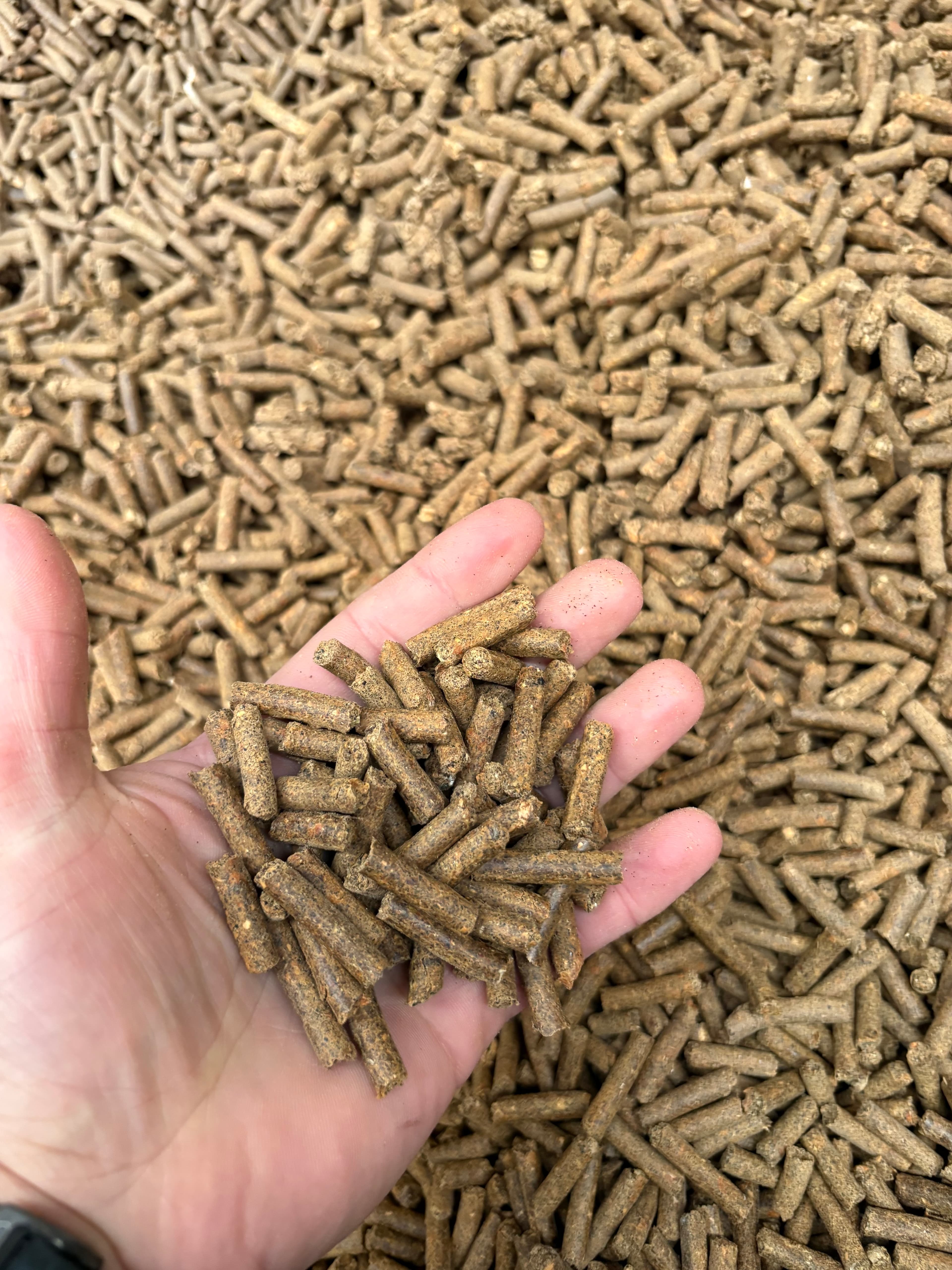 Stockfeed Pellets 1 tonne