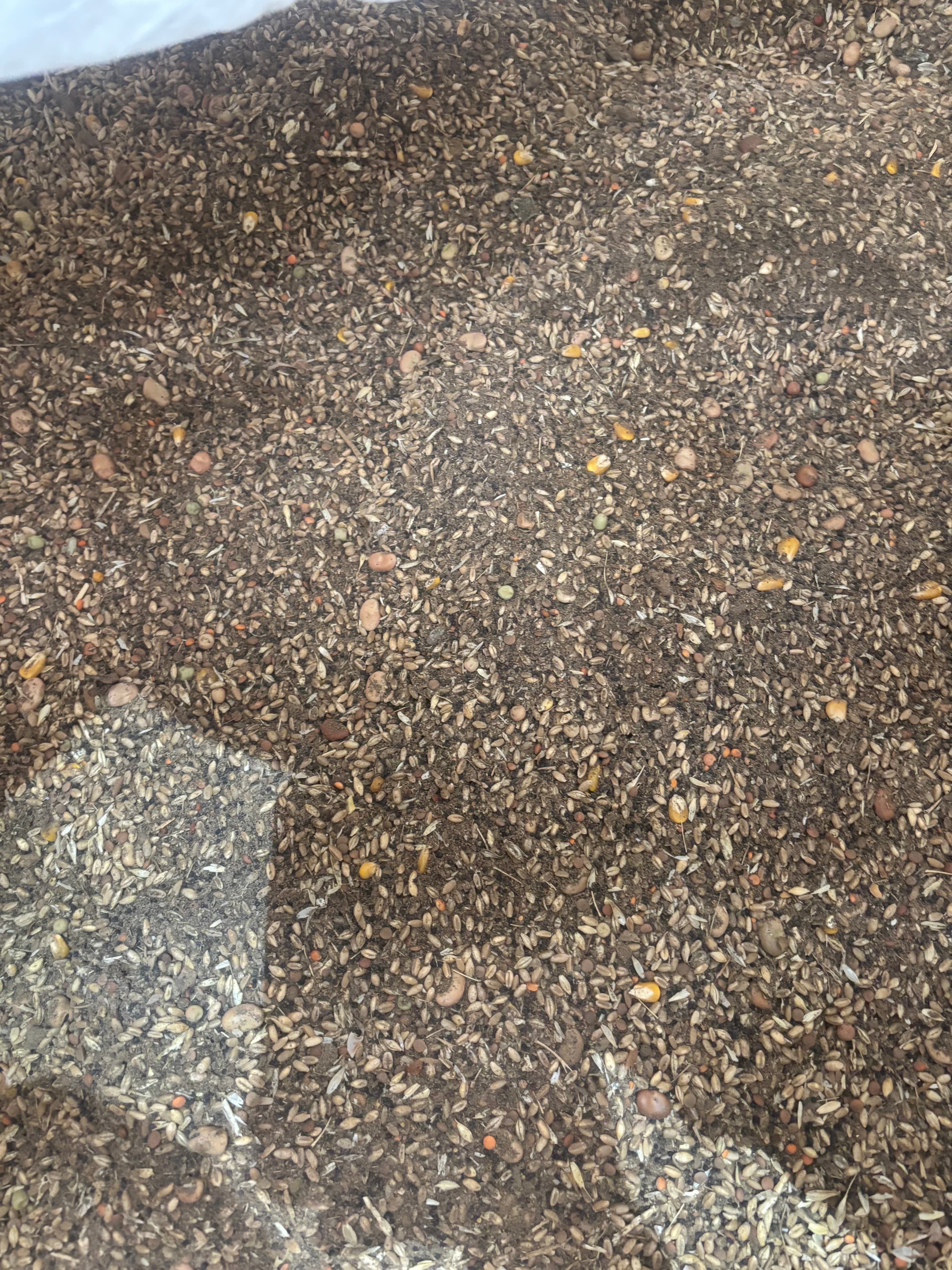 Mixed Grain Bulk Bag 1 Tonne photo 2
