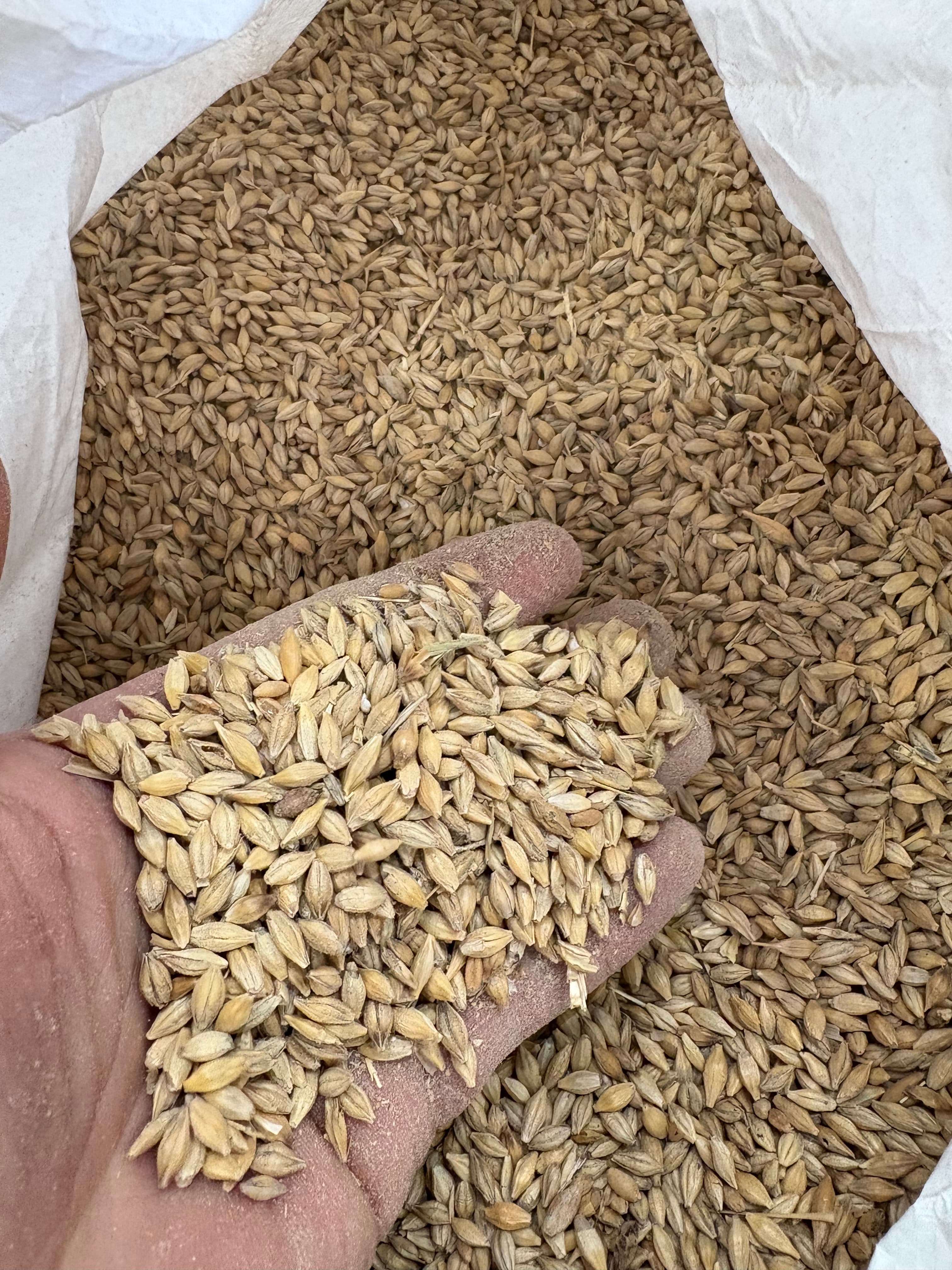 Barley Bulk Bag 1 tonne